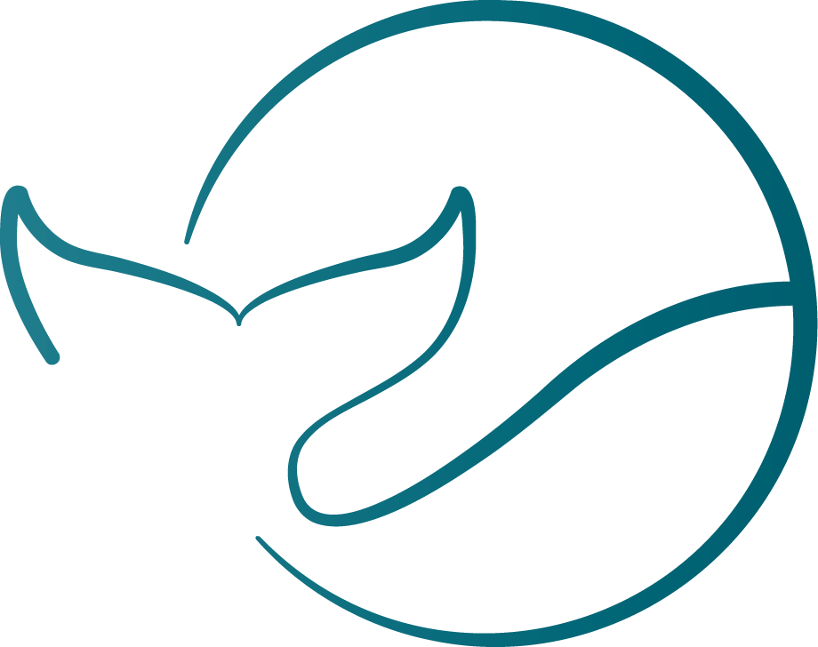 Michaela Sadewasser Erst Sein. Dann Haben. Coaching